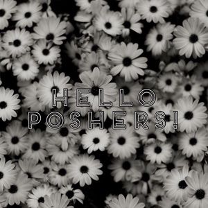 Meet your Posher, Brandi